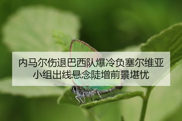 nei-ma-er-shang-tui-ba-xi-dui-bao-leng-fu-sai-er-wei-ya-xiao-zu-chu-xian-xuan-nian-dou-zeng-qian-jing-kan-you-2-140.jpg